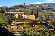 Podere San Gimignano - Albicocca